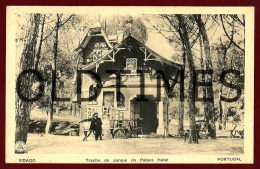 VIDAGO - TRECHO DO PARQUE DO PALACE HOTEL - 1920 PC - Vila Real