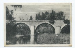 Vidauban (83) : Prospection Dans Les Roseaux En Bas Du Pont De L'Argens Env 1953 (animé) PF. - Vidauban