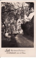 Carte Postale Photo De SENLIS (Oise) Le Vieux Château - La Cathédrale Vue Du Parc - VOIR 2 SCANS - - Senlis