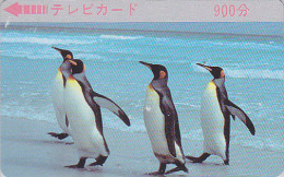 RARE Carte JAPON - ANIMAL - Oiseau MANCHOT Pingouin - PENGUIN Bird JAPAN Prepaid TV Television Card - PINGUIN - 2465 - Pinguini