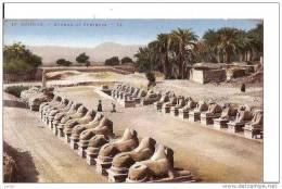 EGYPTE KARNAK AVENUE DES SPHINX ,COULEUR  REF 16994 - Sphinx