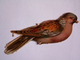 "" JOLI LOT  3  DECOUPIS   GAUFRES  //    OISEAUX    ""  9,5 Cm - Animali