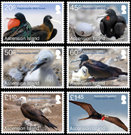 ASCENSION  2013 - Faune, Oiseaux Marins - 6val Neufs // Mnh - Ascension