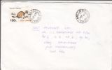 POLECAT, STAMP ON COVER, 1996, ROMANIA - Lettres & Documents