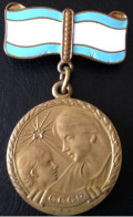 USSR Medal Maternity 2 Degrees Enamel 1960's - Russland