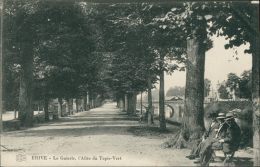 19 BRIVE / Brive-la-Gaillarde, La Guierle, L'Allée Du Tapis-Vert / - Brive La Gaillarde