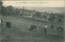 19 BRIVE / Brive-la-Gaillarde, Un Pâturage Aux Environs De Brive / - Brive La Gaillarde