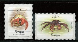 Tonga ** N°  584/585 - Série Courante. Crustacés - Tonga (1970-...)