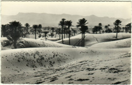 CPSM COLOMB BECHAR - Vue Sur Les Dunes - Oblitération Poste Aux Armées - Bechar (Colomb Béchar)