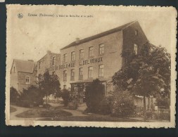 Erezée. (Ardennes) Hôtel Belle-Vue Et Jardin. - Erezée