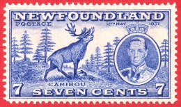 Newfoundland # 235 - 7 Cents -  Mint N/H - Dated 1937 - Caribou / Caribou - 1908-1947