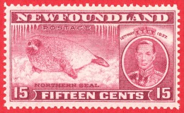 Newfoundland # 239 - 15 Cents -  Mint N/H - Dated 1937 - Harp Seal Pup / Bébé Phoque - 1908-1947