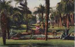 MONACO  Les Jardins Du Casino 1937 - Casinò