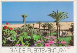 (CANA159) FUERTEVENTURA. - Fuerteventura