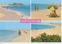 (CANA173) FUERTEVENTURA. PLAYAS - Fuerteventura