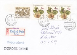 I0035 - Czech Rep. (1998) Postal Agencies DOBRE POLE / 691 99 Dobre Pole (R-letter!) - Lettres & Documents