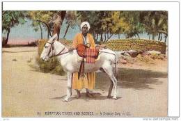 EGYPTE SCENES ET TYPES ANIERS ET SON ANE,COULEUR REF 17025 - Persons