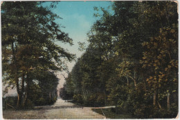 Assen - Beilerstraatweg (1921)  - Holland/Nederland - Assen