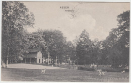 Assen - Hertekamp  (1909)  - Holland/Nederland - Assen