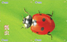 A02368 China Phone Cards Ladybug Puzzle 40pcs - Coccinelle