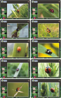 A02369 China Phone Cards Ladybug 80pcs - Lieveheersbeestjes