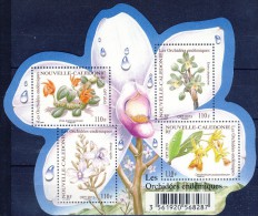 ##O286. Nouvelle Caledonie 2013. Orchides. Bloc. MNH(**). - Blocks & Sheetlets