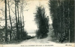 J43   - DEPT 76 CPA ROUTE DE CAUDEBEC EN CAUX A VILLEQUIER 1917 - Villequier