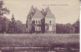 85 Près MAREUIL SUR LAY - Château De Salidieu - Pas D´éditeur - D3 341a - Mareuil Sur Lay Dissais