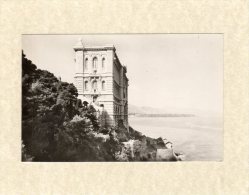 45558   Monaco,   Musee Oceanographique,  Cote Ouest,  NV - Ozeanographisches Museum