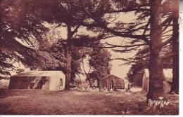85 LA MOTTE - (animé) Le Camp (camping) - Nr 21762-19245 Bergevin - D3 96a - La Mothe Achard