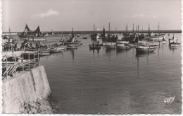 LESCONIL   CHALUTIERS AU PORT - Lesconil