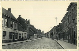 Maldegem :  Noordstraat - Maldegem