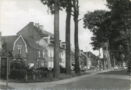 Jabbeke :  Constant Permekelaan   (  Groot Formaat  ) - Jabbeke