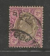 TRANSVAAL 1902  Used Stamp(s) Edward VII 2d Lilac Saccnr. 104 - Transvaal (1870-1909)