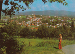 CPA ZWIESEL- TOWN PANORAMA - Regen