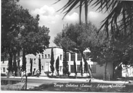 LAZIO-LATINA-BORGO SABOTINO VEDUTA SCUOLA EDIFICIO - Latina