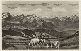 Suisse - CPSM - Vue Du Chamossaire - Cham