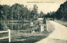 Brinon-sur-Sauldre  L'Etang Des Réaux  Cpa - Brinon-sur-Sauldre