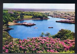 RB 975 - Postcard - Stornoway Harbour - Isle Of Lewis - Outer Hebrides - Ross & Cromarty - Argyll & Bute  - Scot - Ross & Cromarty