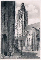 Oudenaarde  Kerk Van Sint Wallburgis - Oudenaarde