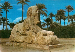 CPSM Giza-The Sphinx Of Sakkara   L1543 - Guiza