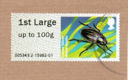 Great Britain, 2012, Lesser Silver Water Beetle,  First Class Large Letter (100grams) Used On Piece - Used Stamps