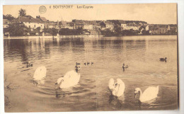 WATERMAEL - BOITSFORT  -  Les Cygnes - Watermael-Boitsfort - Watermaal-Bosvoorde