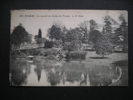 Angers-La Cascade Du Jardin Des Plantes 1928 - Pays De La Loire