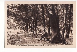 Carte 1930 Le Foyer Des Indirectes à Réalville :une Allée Du Parc - Realville