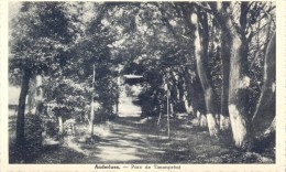 CP Anderlues - Parc De Timonpréat - Anderlues