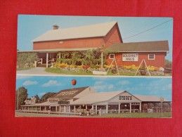 Sandusky Ohio Steuk's Country Store  Not Mailed  ----ref 1172 - Other & Unclassified