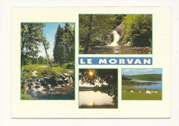 Cp, Bourgogne, Le Morvan, Multi-Vues, écrite - Bourgogne