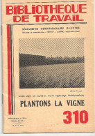 Plantons La Vigne Bibliothèque Du Travail N°310 Du 15 Avril 1955 - Tuinieren