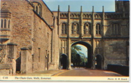Royaume Uni, The Chain Gate, Welles, Somerset, C1H, Photo R. W. Board, A Circulé En 1971, Dos Divisé, Bon état - Wells